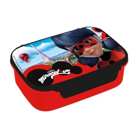 Miraculous Ladybug Lunch Box £3.99